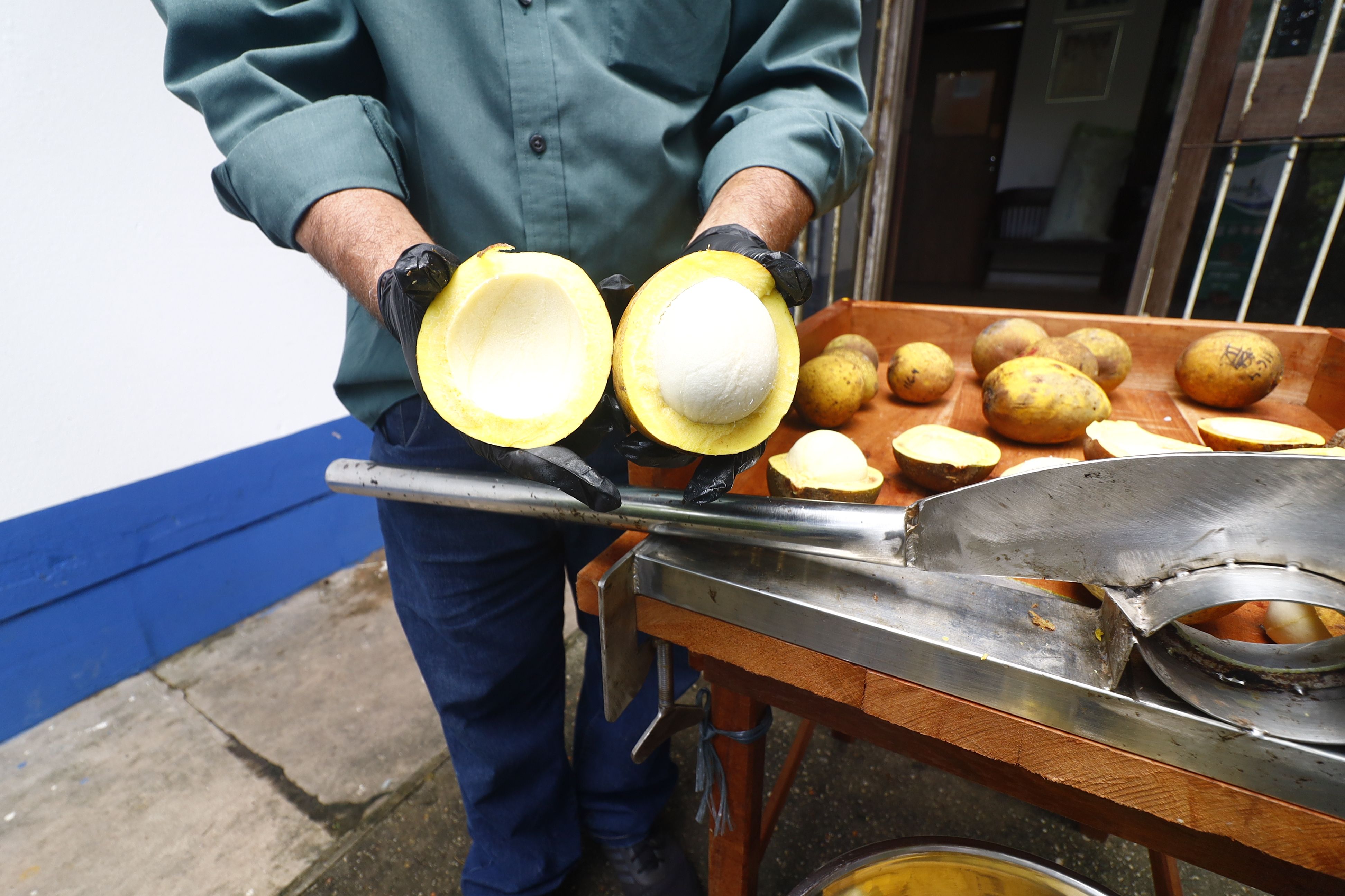 20260315XATUAMAZONQUEBRADABACURI - FOTOS - IVAN DUARTE (18).JPG.jpeg