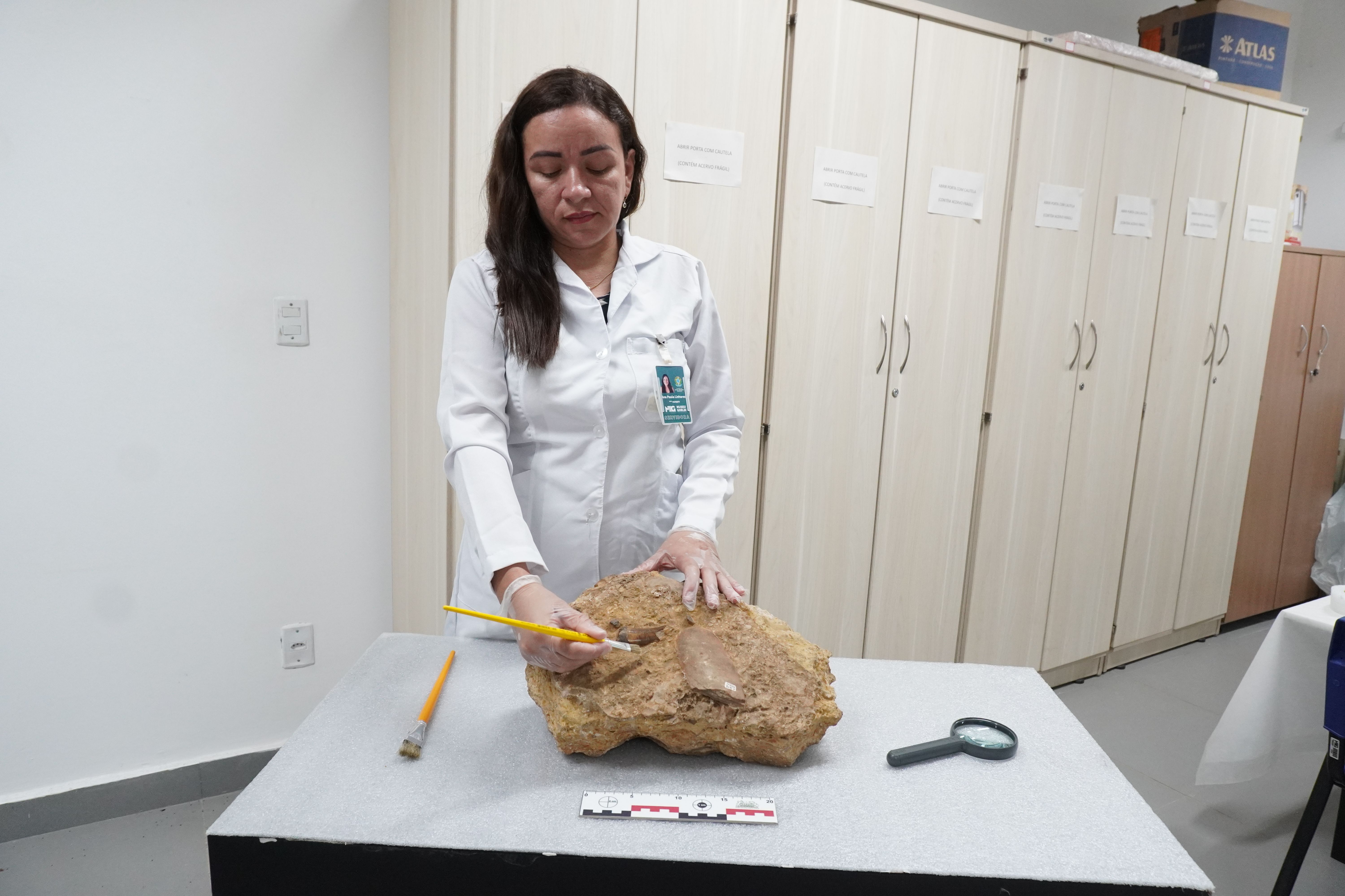 23-03-2026-Parque-Fóssil-AnaPaulaLinhares-MPEGWoltaireMasaki (14).JPG.jpeg