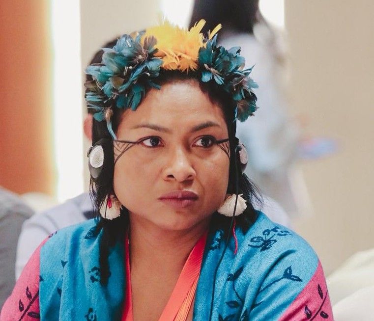 Angela Kaxuyana - Terra Indígena Kaxuyana Tunayana - Foto Kaiti Topramre.jpeg