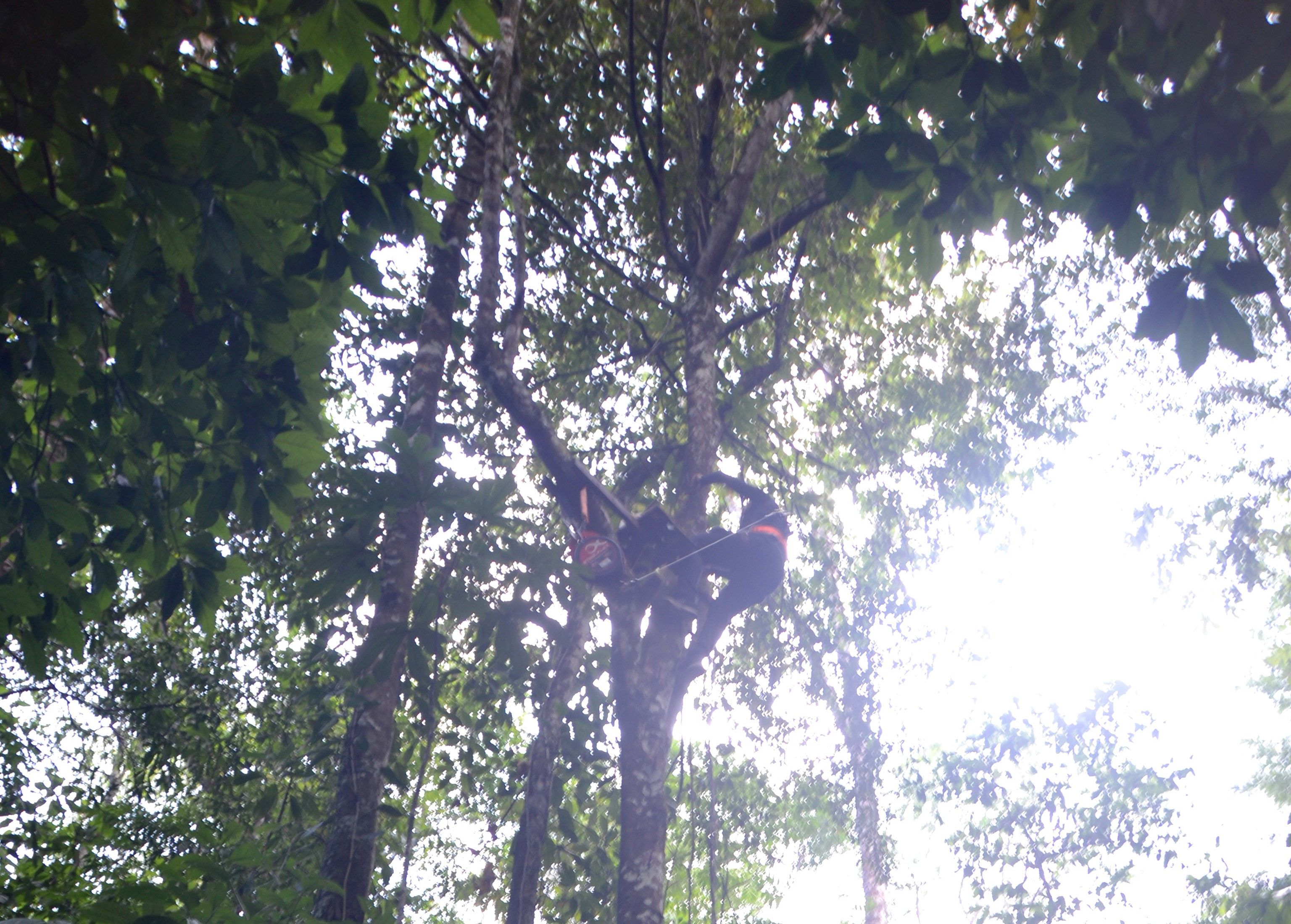 Crédito das fotos Fábio Bastos (Comunicação IEC) (3).jpeg