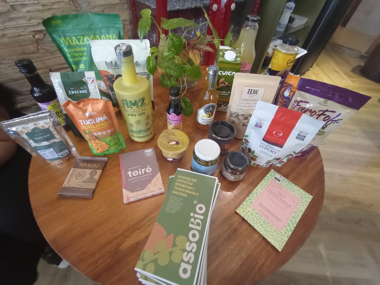 Foto Aqui tem Bioeconomia 4 (1).jpeg