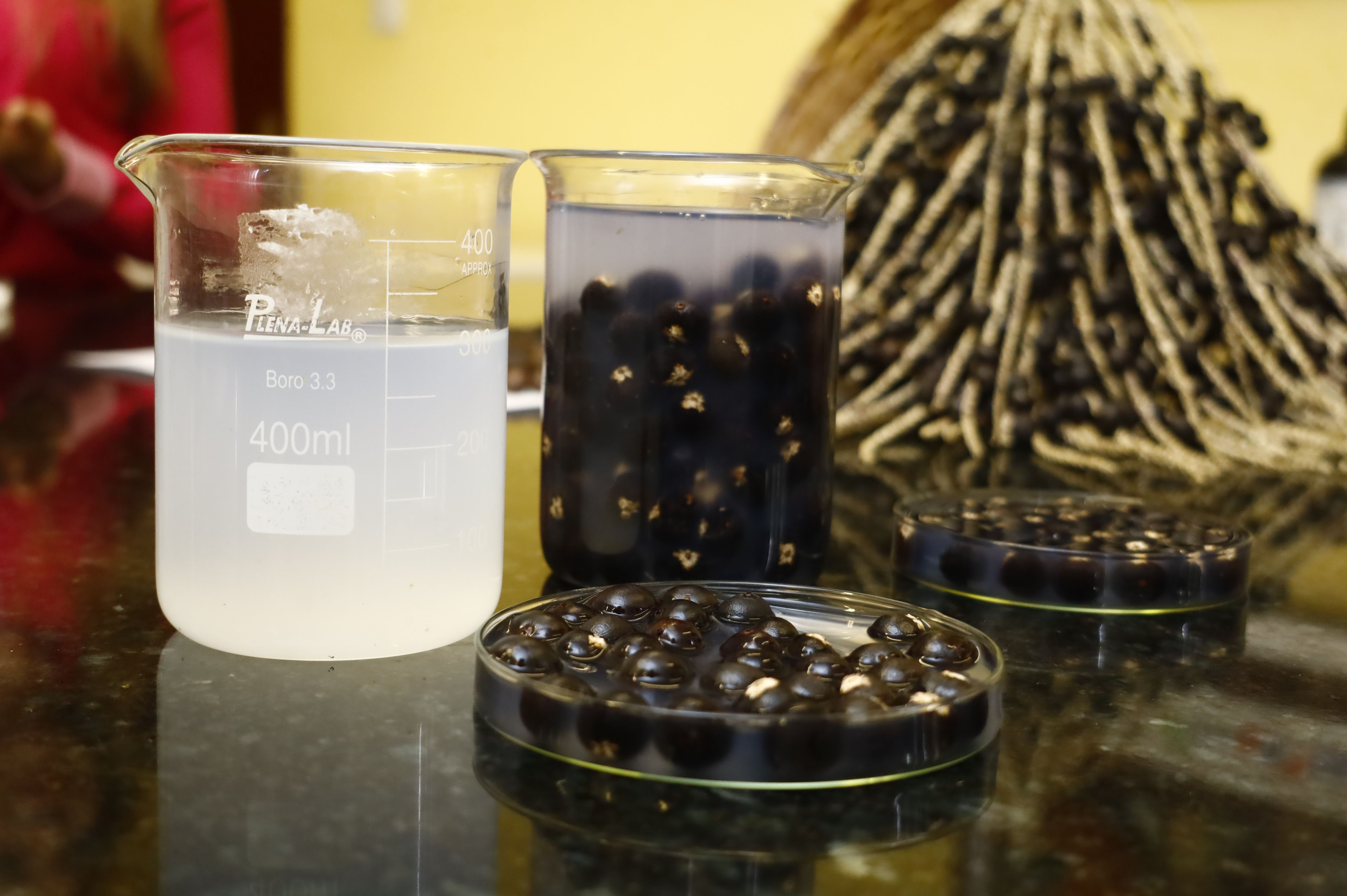 Foto Wagner Santana. _MG_6163 (46).JPG.jpeg