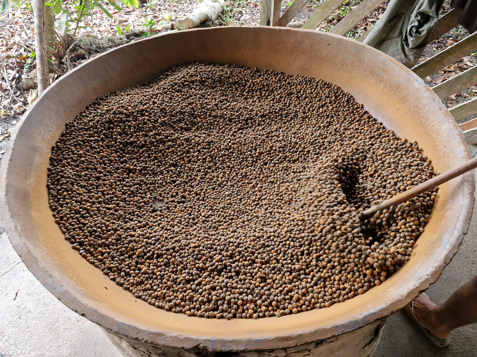 Guaraná no tacho de barro - Arquivo pessoal Elias Souza.jpeg