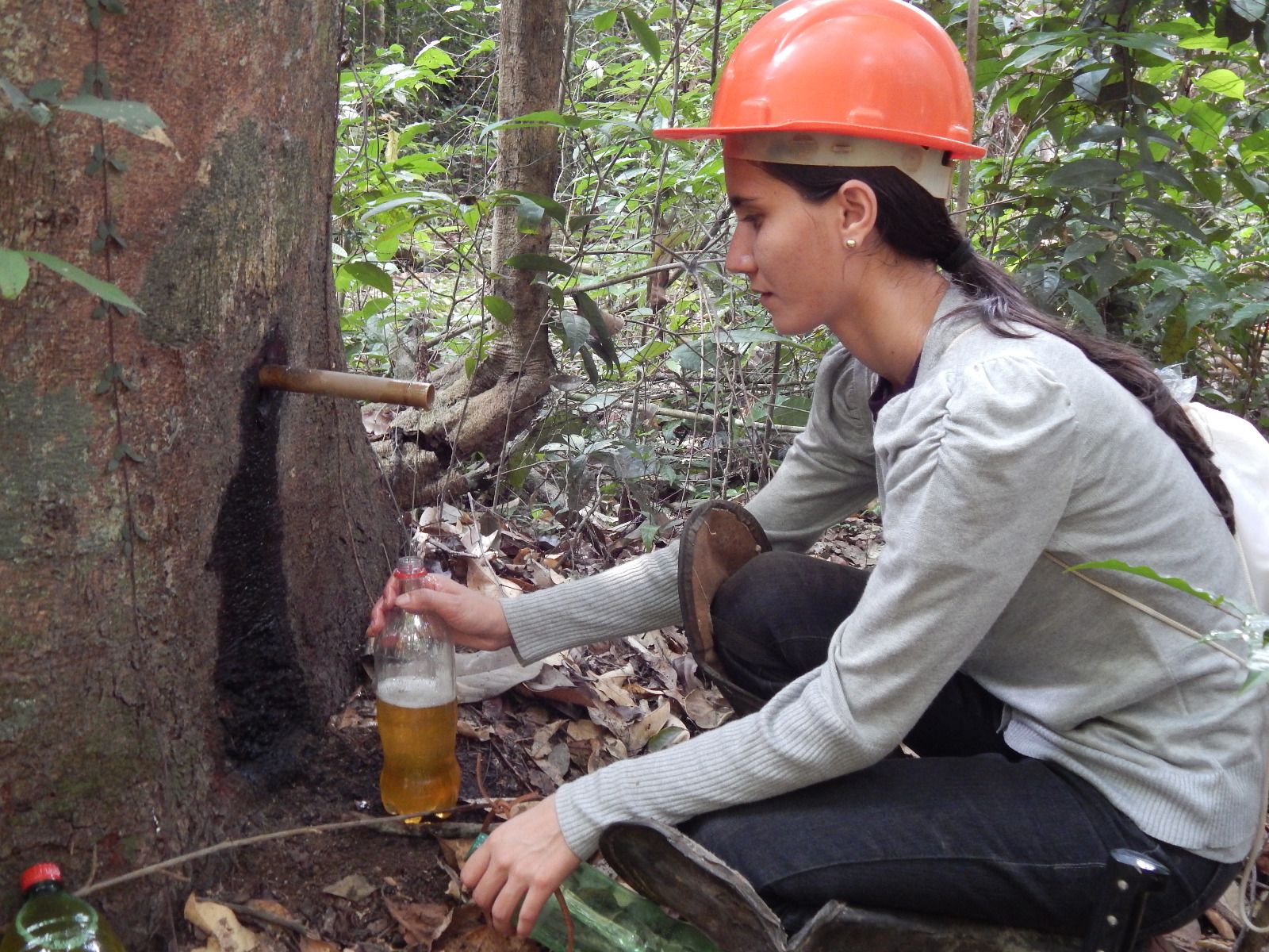 Jhéssica Caetano Frota em campo - Arquivo pessoal.jpeg