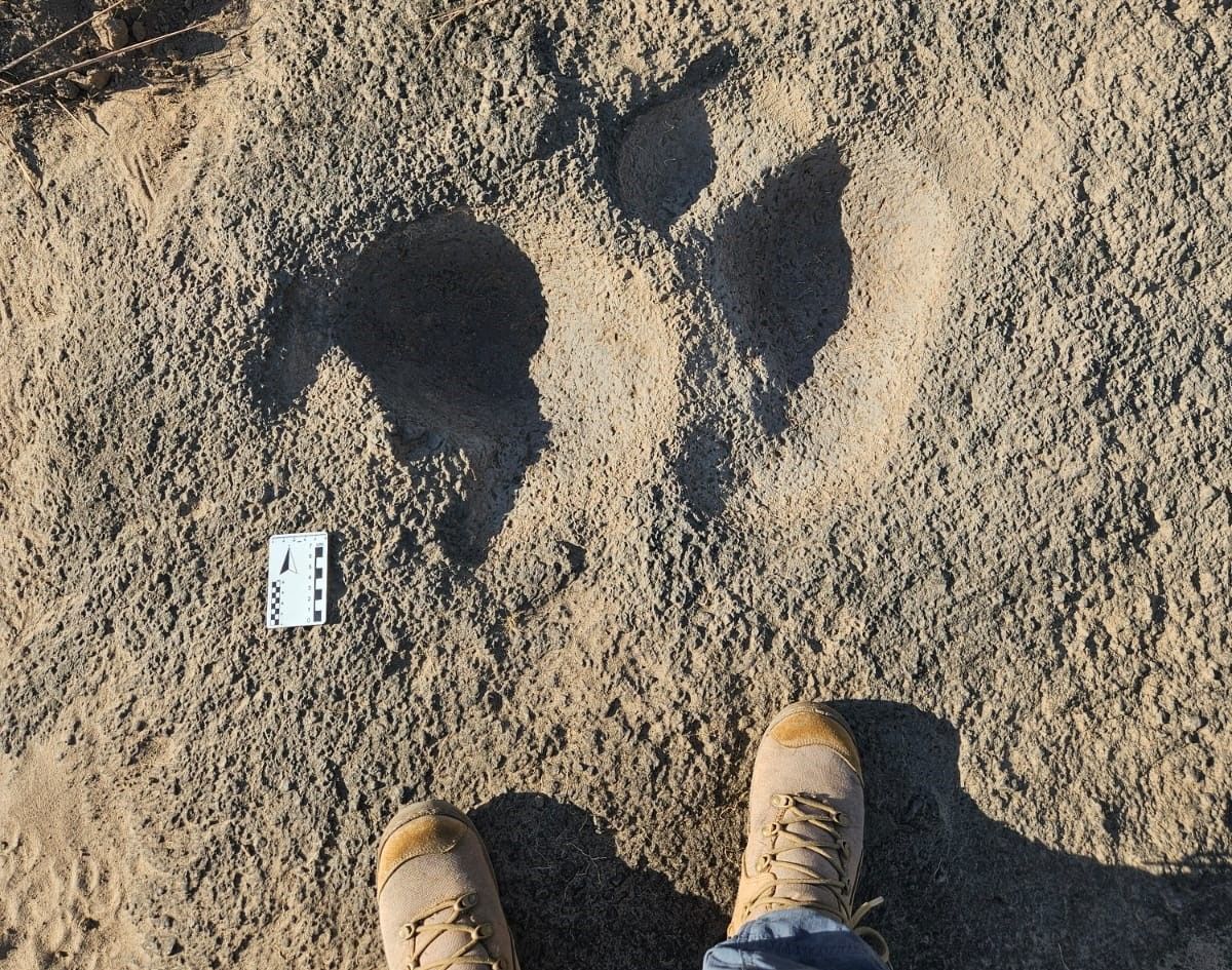 Pegadas de dinossauro encontradas em Roraima - Arquivo pessoal Vladimir de Souza (3).jpeg