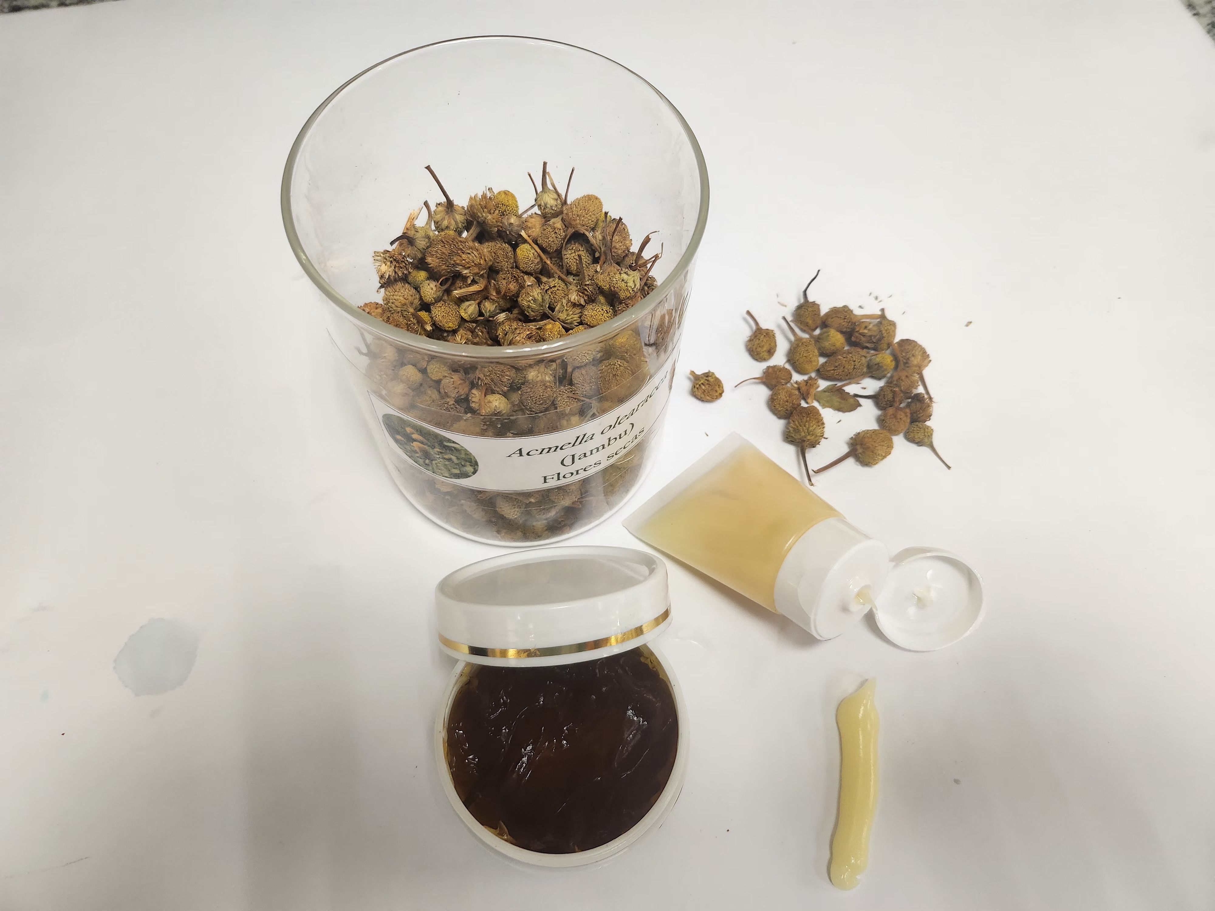 Produtos à base do jambu produzidos na Unicamp - Arquivo pessoal Rodney Rodrigues.jpg