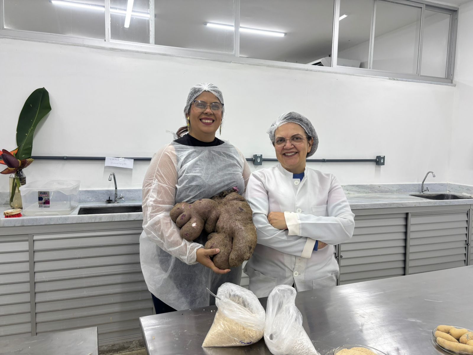 Professora Maria Teresa Clerici (direita), da Unicamp, iniciando o processamento do cará roxão até virar farinha (1).jpeg