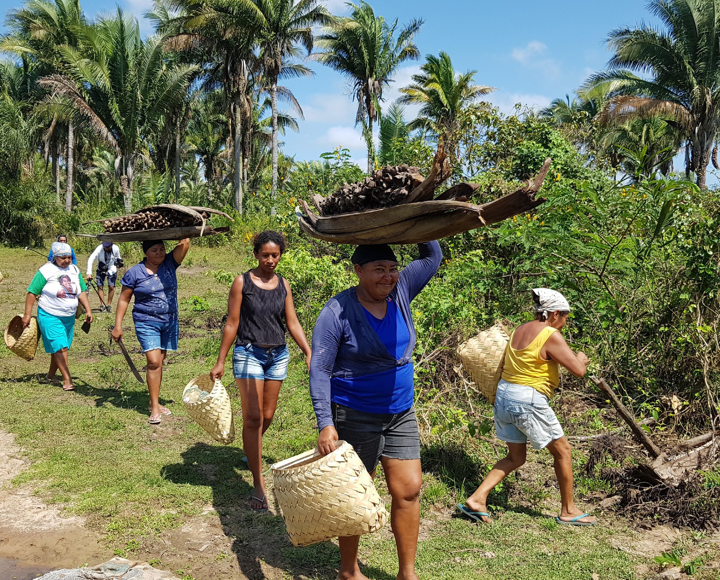Quebradeiras de coco babaçu - MIQCB.jpg.jpeg