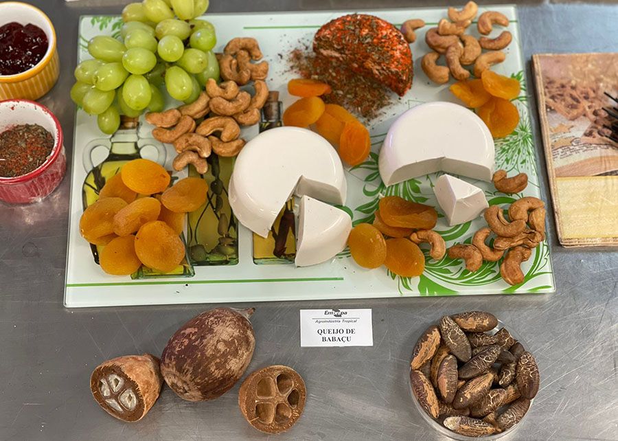 Queijo de babaçu - Divulgação Embrapa Maranhão.jpg