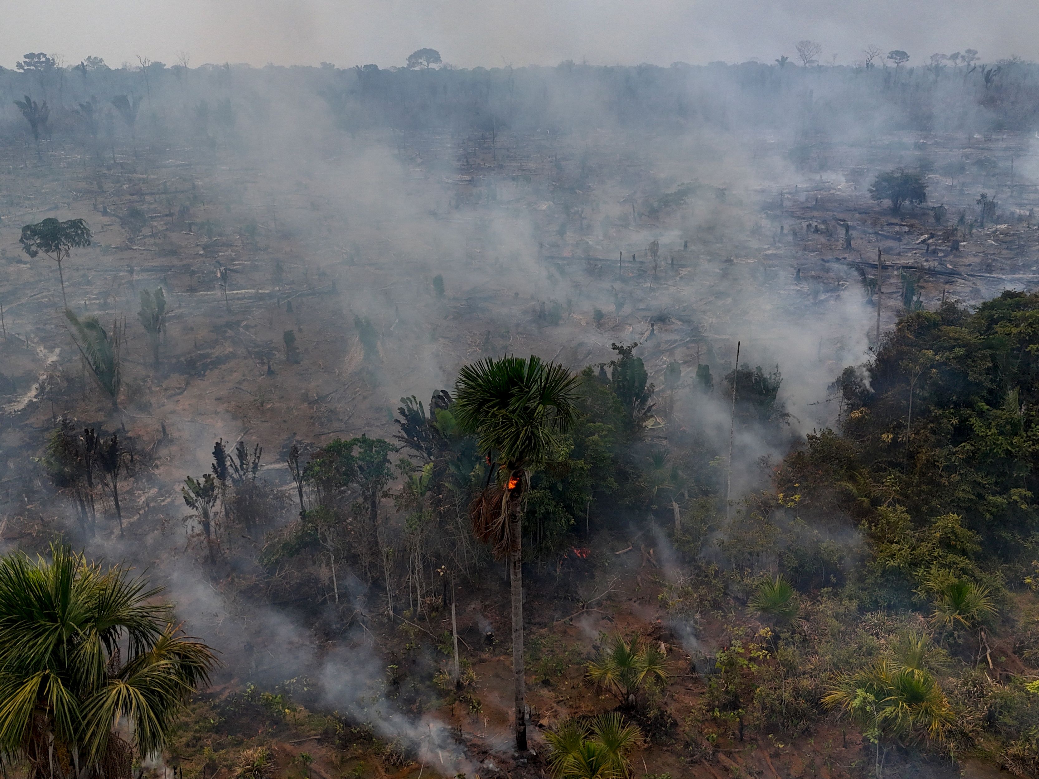 Queima ilegal na floresta amazônica às margens da rodovia BR-230 (Rodovia Transamazônica), perto da cidade de Humaitá, estado do Amazonas, norte do Brasil-foto MICHAEL DANTAS AFP.jpg.jpeg