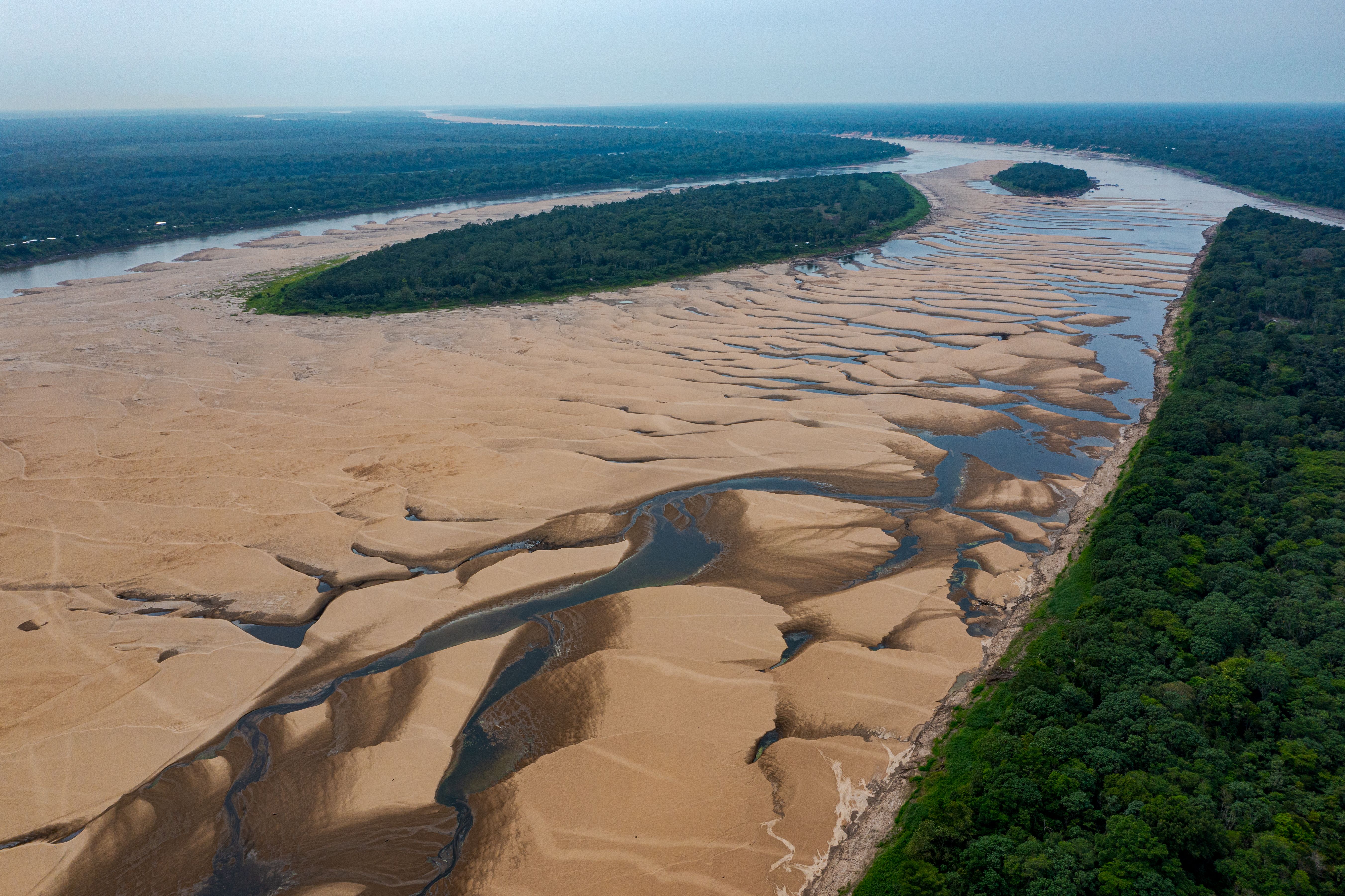 Seca na Amazônia - Foto Miguel Monteiro - Instituto Mamirauá.jpg