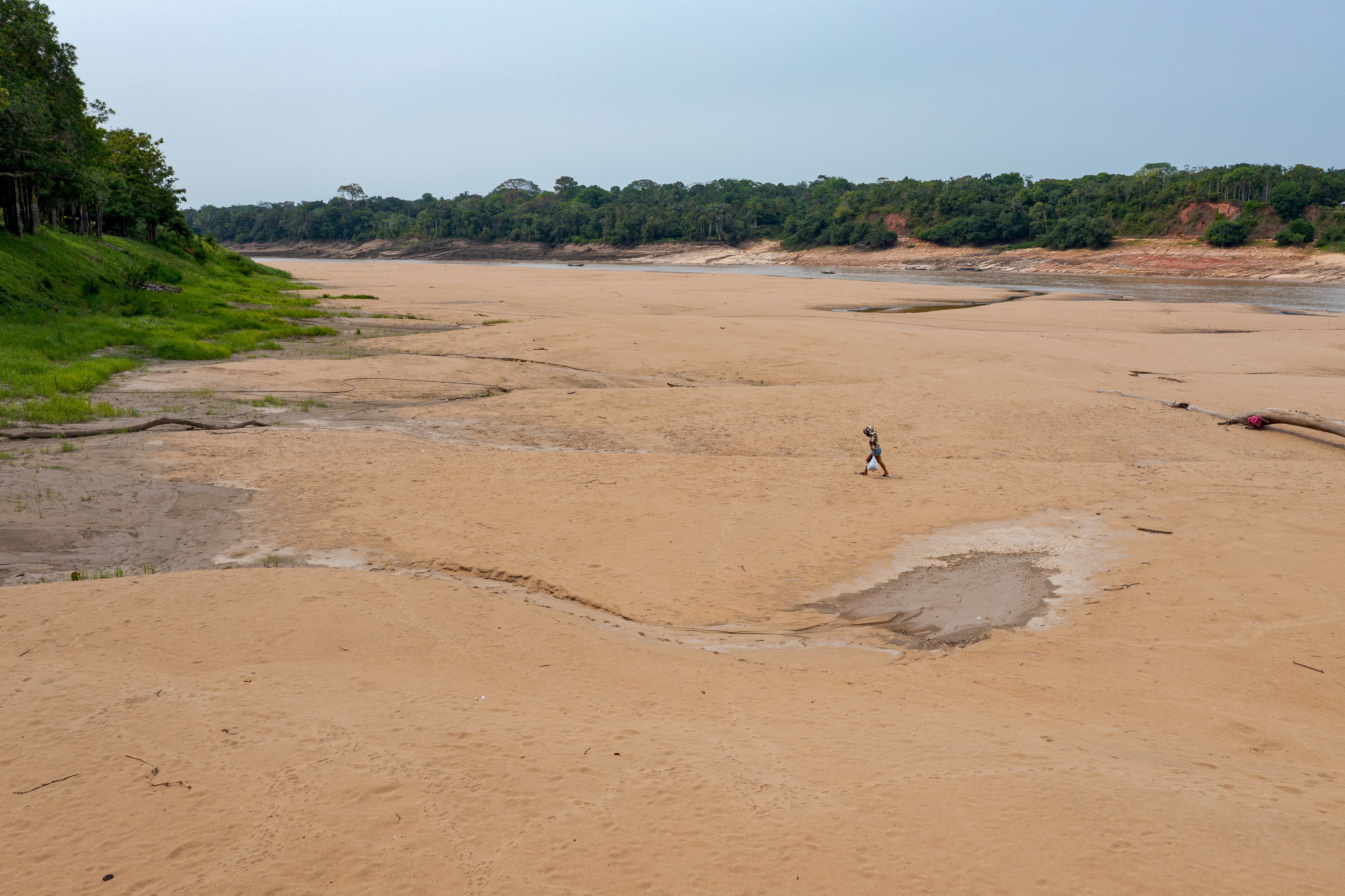 Seca na Amazônia - Miguel Monteiro - Instituto Mamirauá 2.jpg