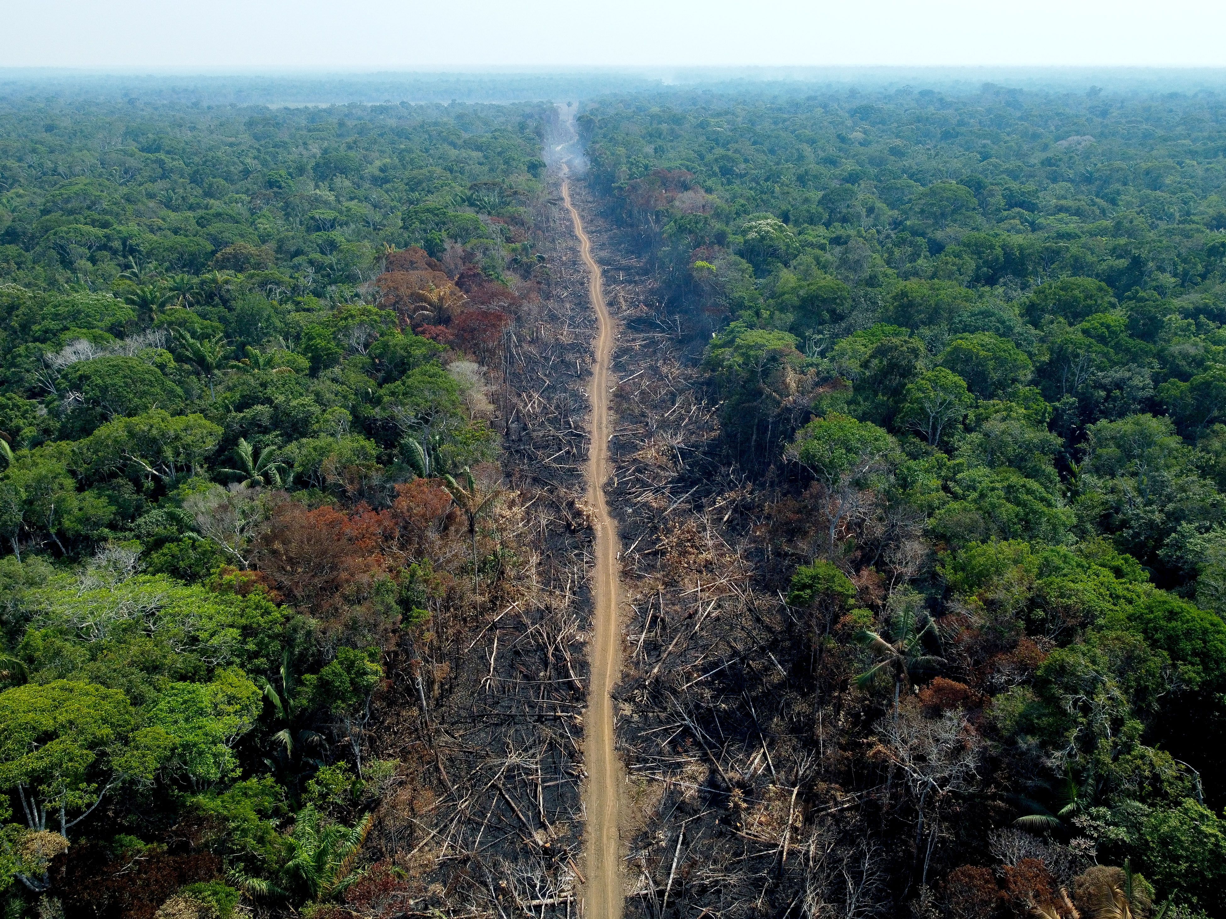 Uma área desmatada e queimada é vista em um trecho da BR-230 (Rodovia Transamazônica) em Humaitá, Amazonas, Brasil-Michael Dantas-AFP.jpg.jpeg
