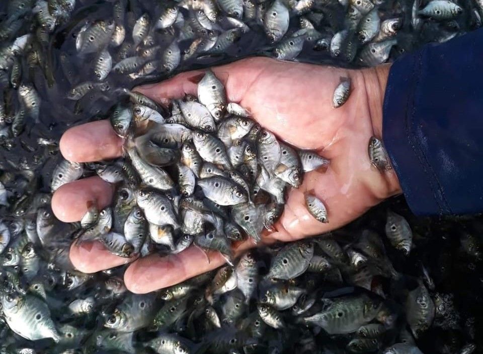 Yuri Morais - produtor (arquivo pessoal) (3).jpeg