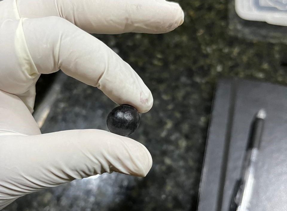 fruto preservado no biogel- foto Nathiel Moraes.jpeg