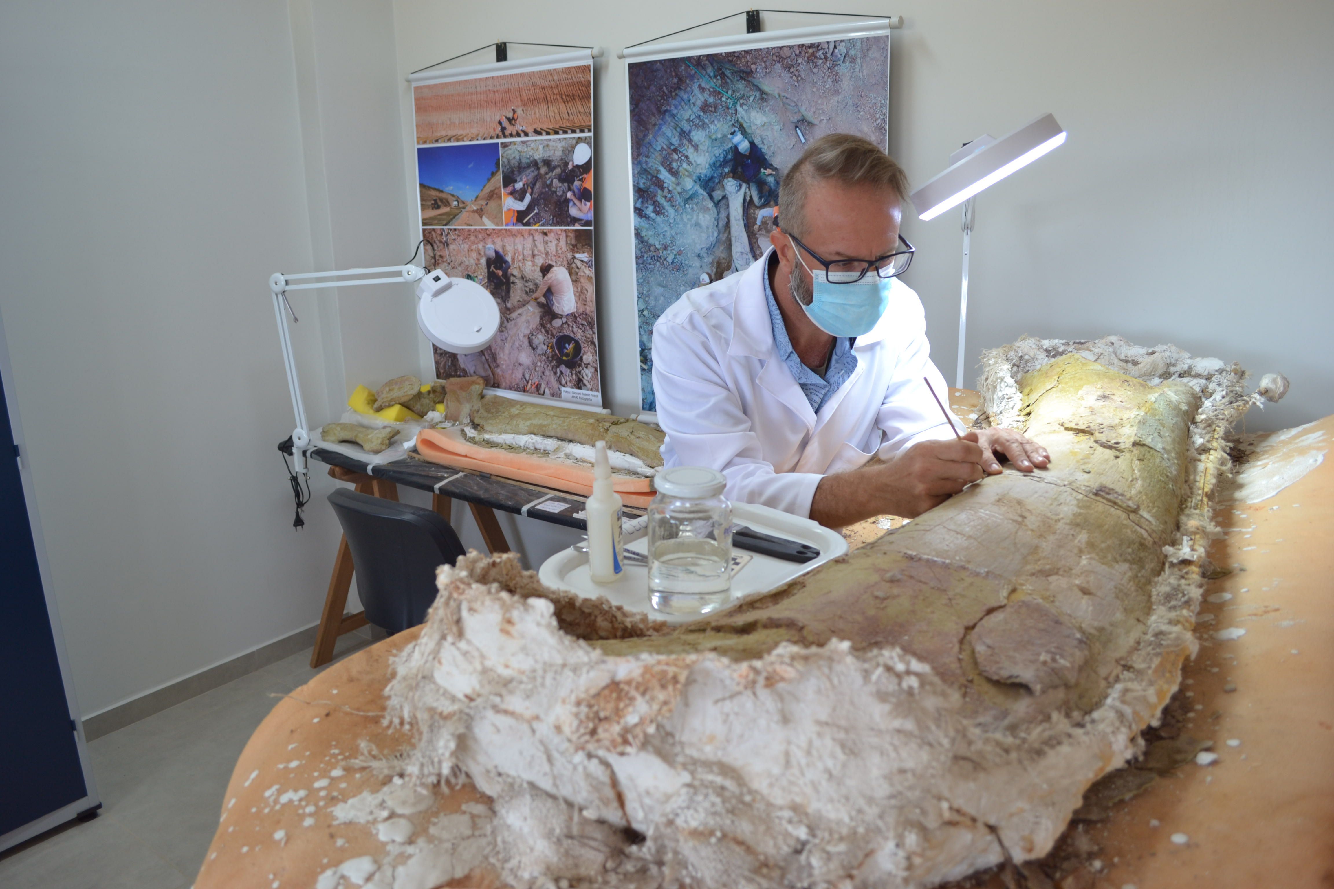 preparação de fóssil na unifesspa PA _creditos Elver Mayer.jpg